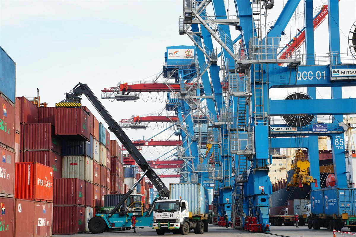 Young logistics professionals inspecting cargo operations